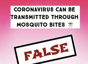 coronavirus mosquito myths