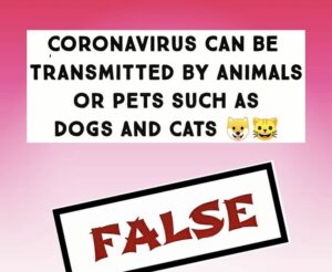 coronavirus pet myths