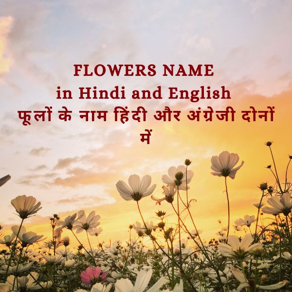 Flowers name in Hindi