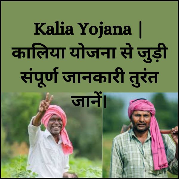 Kalia Yojana