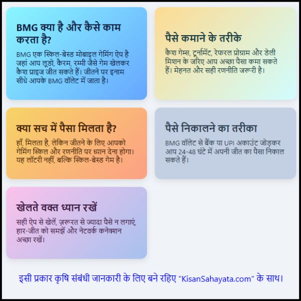 Big Money Game से पैसे कमाने का तरीका क्या है